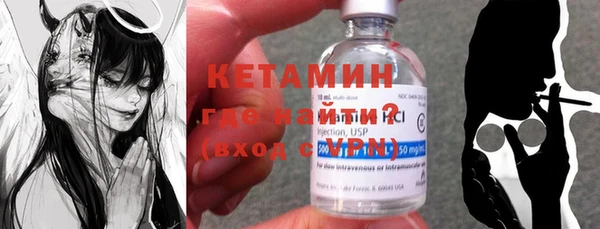 индика Медвежьегорск