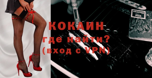 индика Медвежьегорск