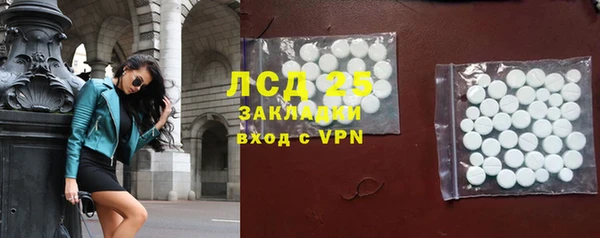индика Медвежьегорск