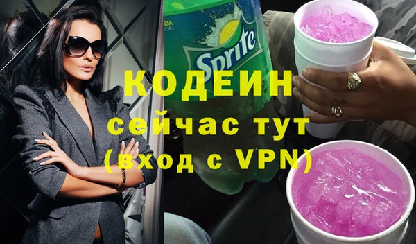 индика Медвежьегорск