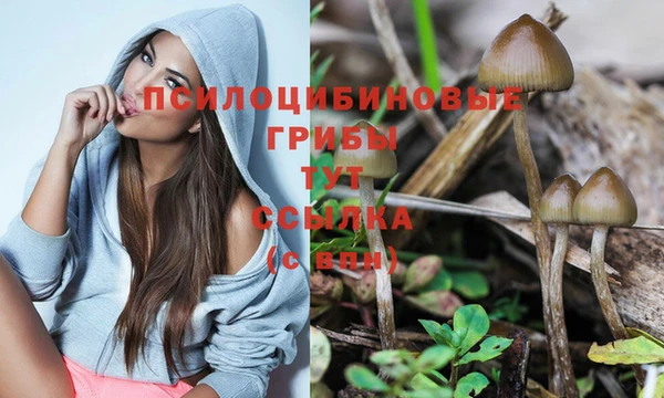 гашишное масло Мегион