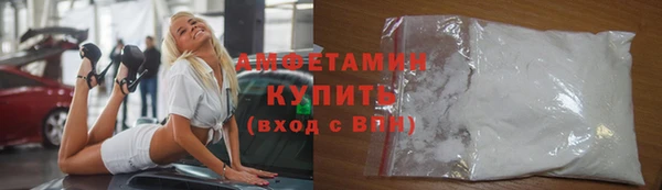 индика Медвежьегорск