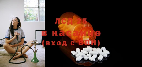 индика Медвежьегорск