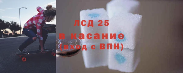индика Медвежьегорск