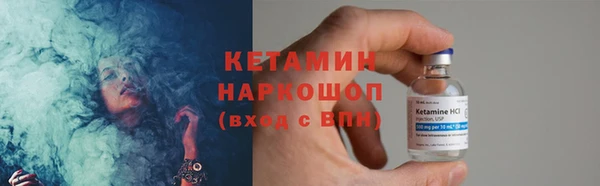 индика Медвежьегорск