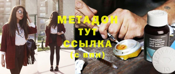 индика Медвежьегорск