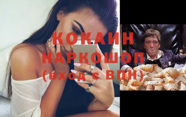индика Медвежьегорск
