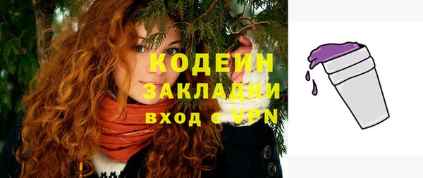 индика Медвежьегорск