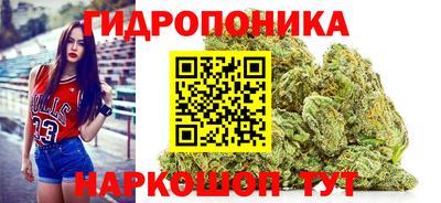 шишки Гусиноозёрск