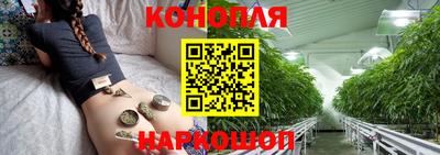 шишки Гусиноозёрск