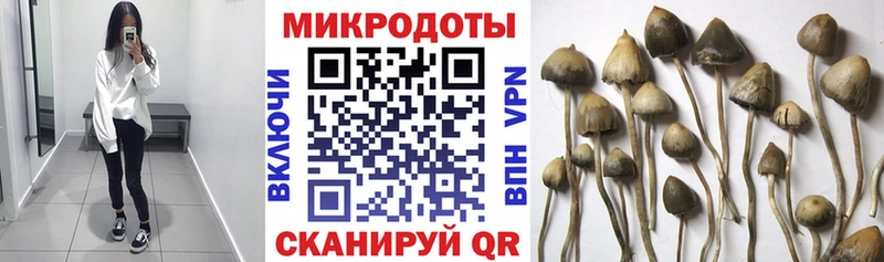 Галлюциногенные грибы прущие грибы KRAKEN tor Нижнекамск