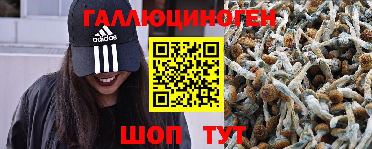 Галлюциногенные грибы Cubensis Нижнекамск