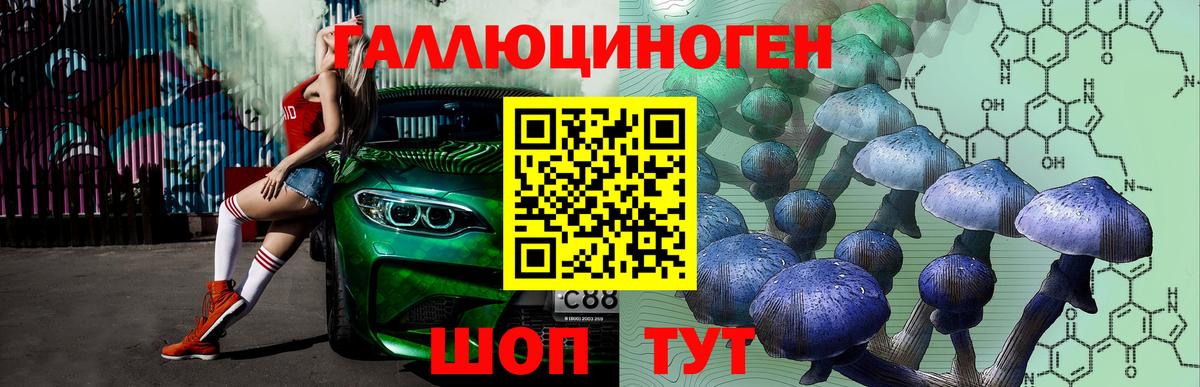 Нижнекамск  Псилоцибиновые грибы Psilocybine cubensis  Вход с VPN  Галлюциногенные грибы Cubensis 